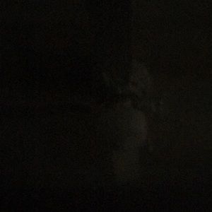 Meet your Posher, Franklin